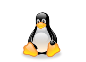 Курс Linux для разработчиков